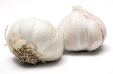 Image showing Garlic Bulbs