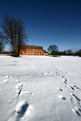 Image showing nature landscape