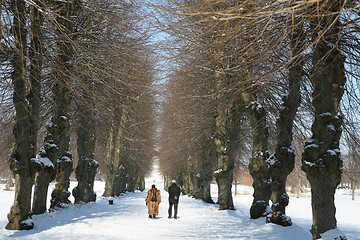 Image showing winter in denmark