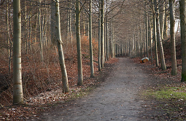 Image showing alley