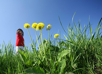 Image showing green