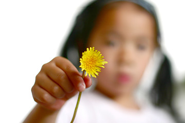 Image showing dandelion child