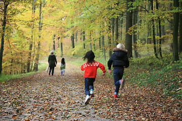 Image showing child outdoor in forest