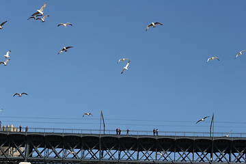 Image showing bridge