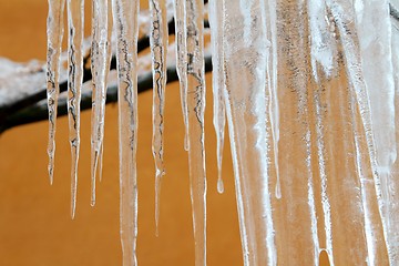 Image showing iced tree