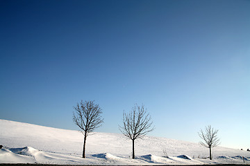 Image showing snowy winter