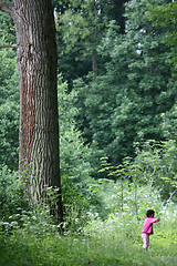 Image showing child green run