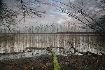 Image showing Sjælsø