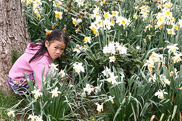 Image showing child flower