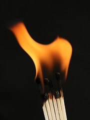 Image showing matches