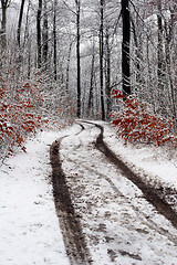 Image showing danish winter 