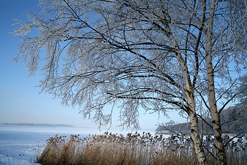 Image showing winter in denmark