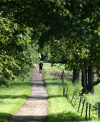 Image showing run in the forest