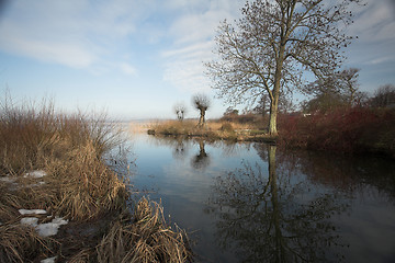 Image showing lake forest