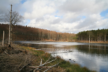 Image showing trees and lake 