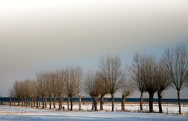 Image showing snowy winter