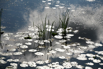 Image showing lake