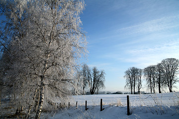 Image showing winter in denmark