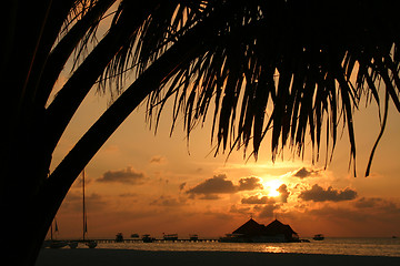 Image showing maldives islands