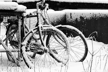 Image showing bicycles