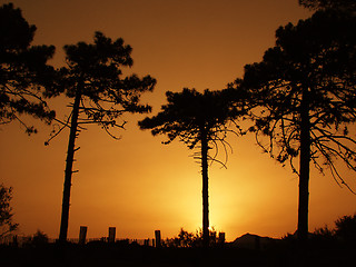 Image showing Corsican sceneries