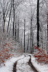 Image showing danish winter 