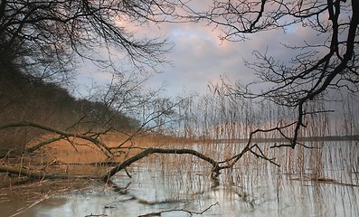 Image showing Sjælsø