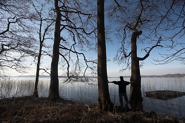 Image showing lake forest