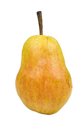 Image showing Pear