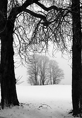 Image showing winter in denmark