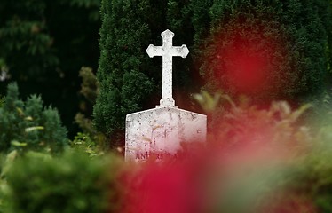 Image showing cemetary