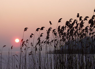 Image showing lake sunset