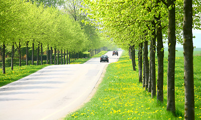 Image showing spring road