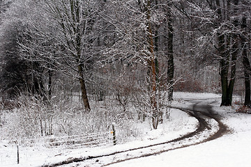 Image showing danish winter 