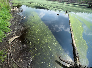 Image showing lake