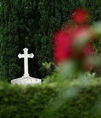 Image showing cemetary