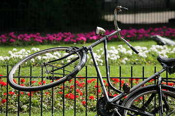 Image showing Bikes in Amsterdam