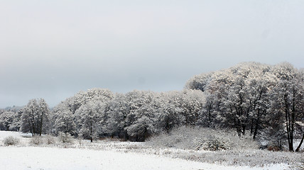 Image showing nature landscape