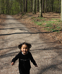 Image showing spring forest