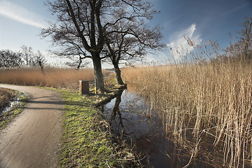 Image showing lake forest