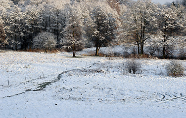 Image showing danish winter 