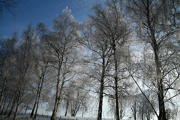 Image showing winter in denmark