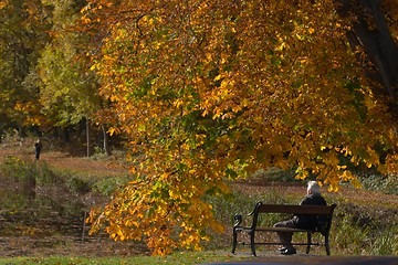 Image showing autumn bench