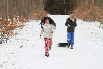 Image showing toboggan