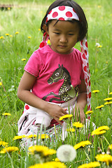 Image showing Girl in flowers