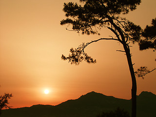 Image showing Corsican sceneries