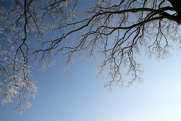 Image showing winter in denmark