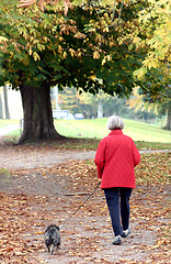 Image showing walking the dog 