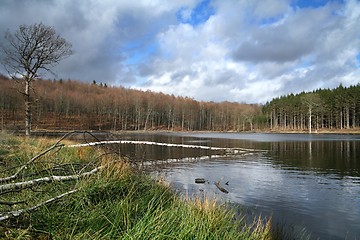 Image showing trees and lake