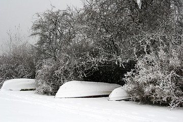 Image showing nature landscape